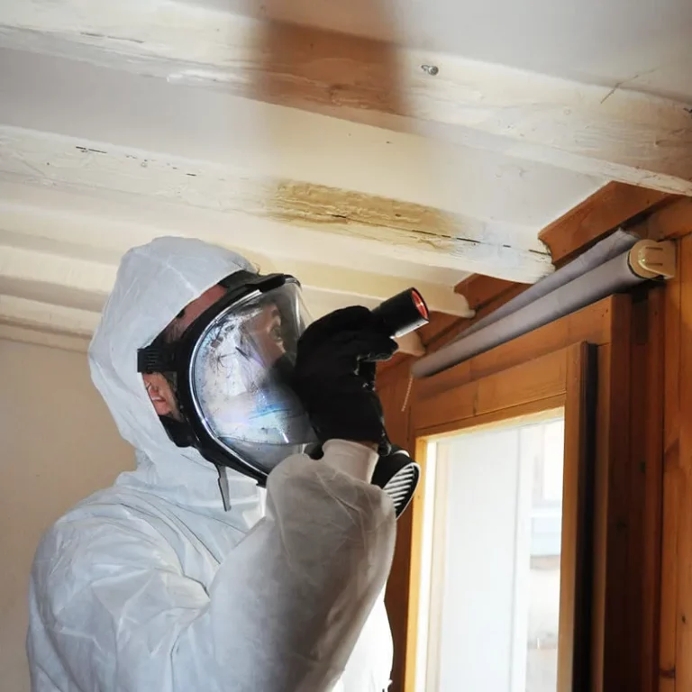 Inspection minutieuse pour détecter des punaises de lit