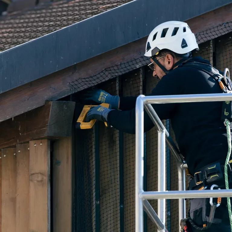 rotection de toiture contre l'intrusion de moineaux sous les tuiles